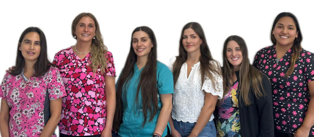 Equipo profesional